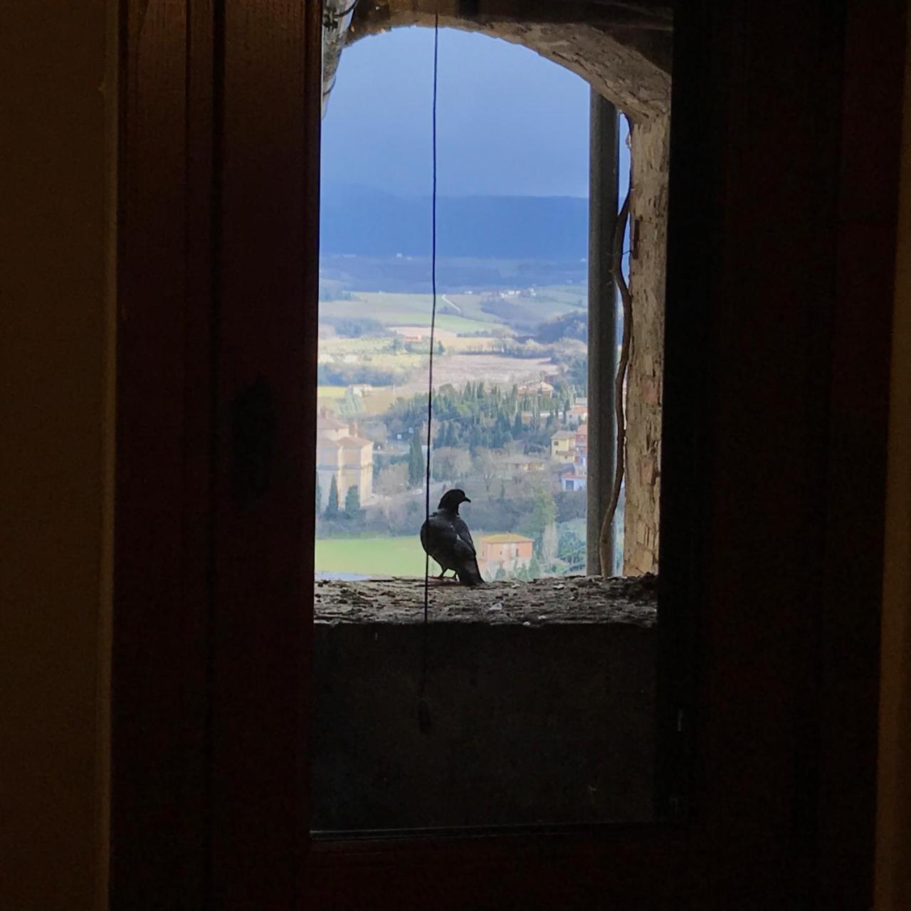 Hotel Residenza Teatro Antico Todi Exteriér fotografie
